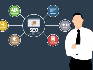 SEO : L'impact à moyen et long terme sur votre business